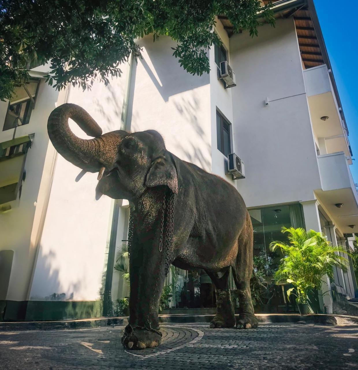 Hotel Yo Kandy Bagian luar foto